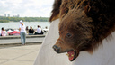 Головы медведей, гастрошаманизм и городки с консервами — что происходит на Михайловской набережной