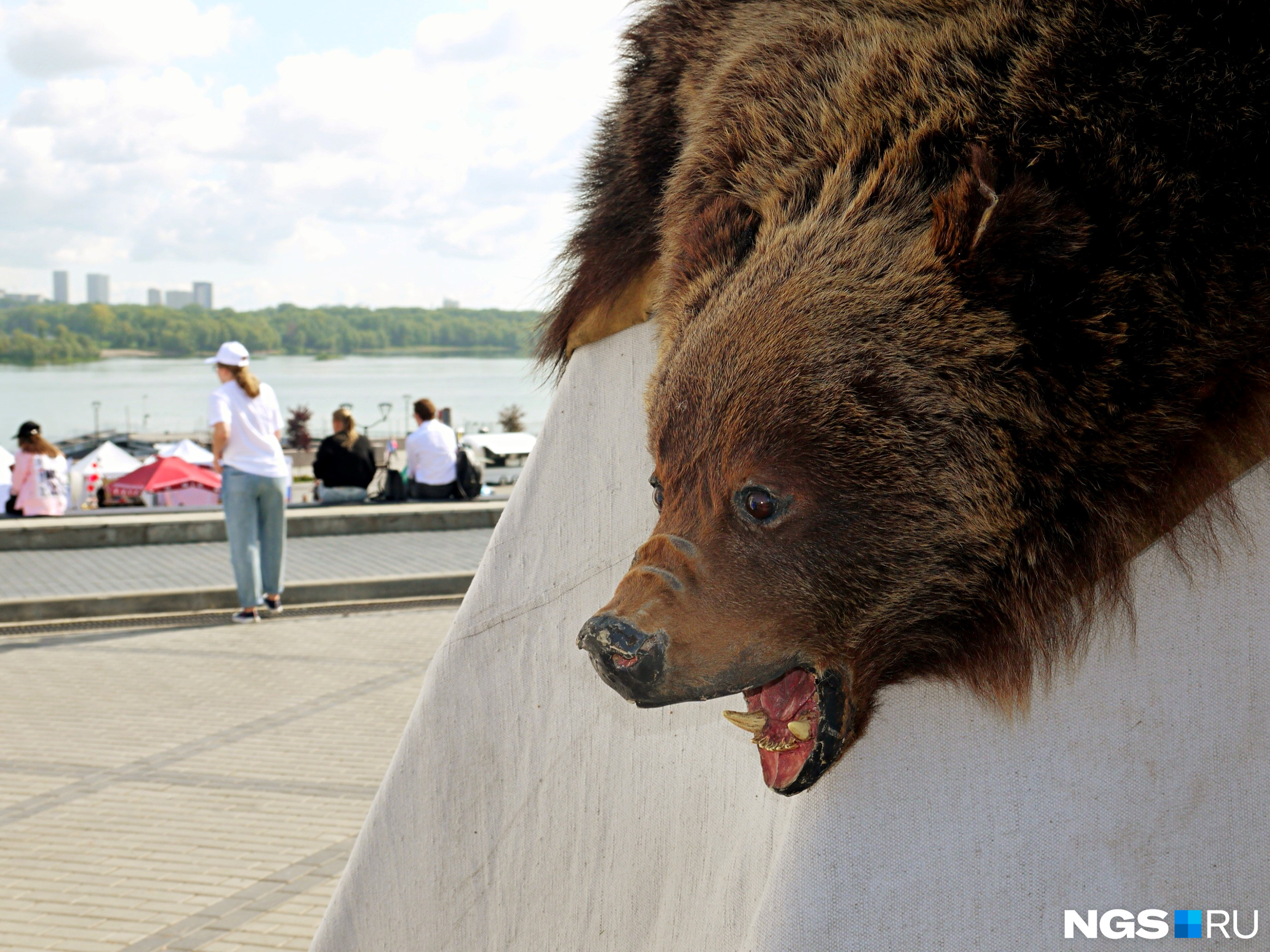 Главную идею сибирской кухни на фестивале олицетворяют шкуры медведей