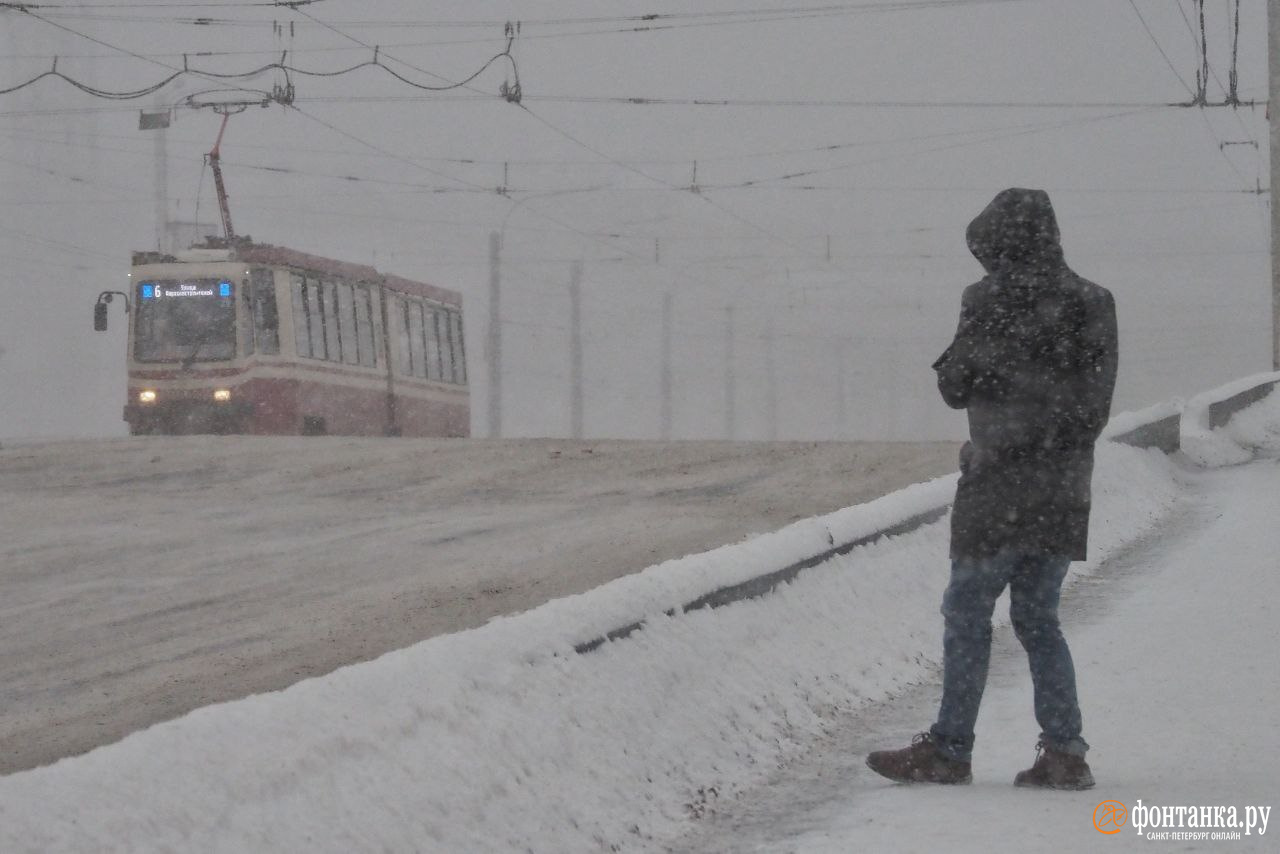 Заметённый Петербург: люди прячутся от ветра, на пригородных трассах едва  не сдувает машины | 18.01.2024 | Санкт-Петербург - БезФормата