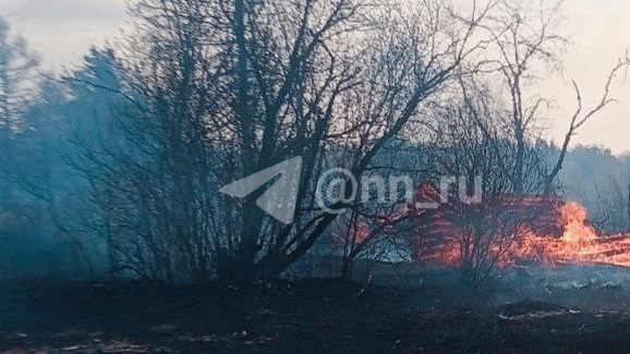 Крупный пожар в Нижегородской области: сгорели три дачных дома