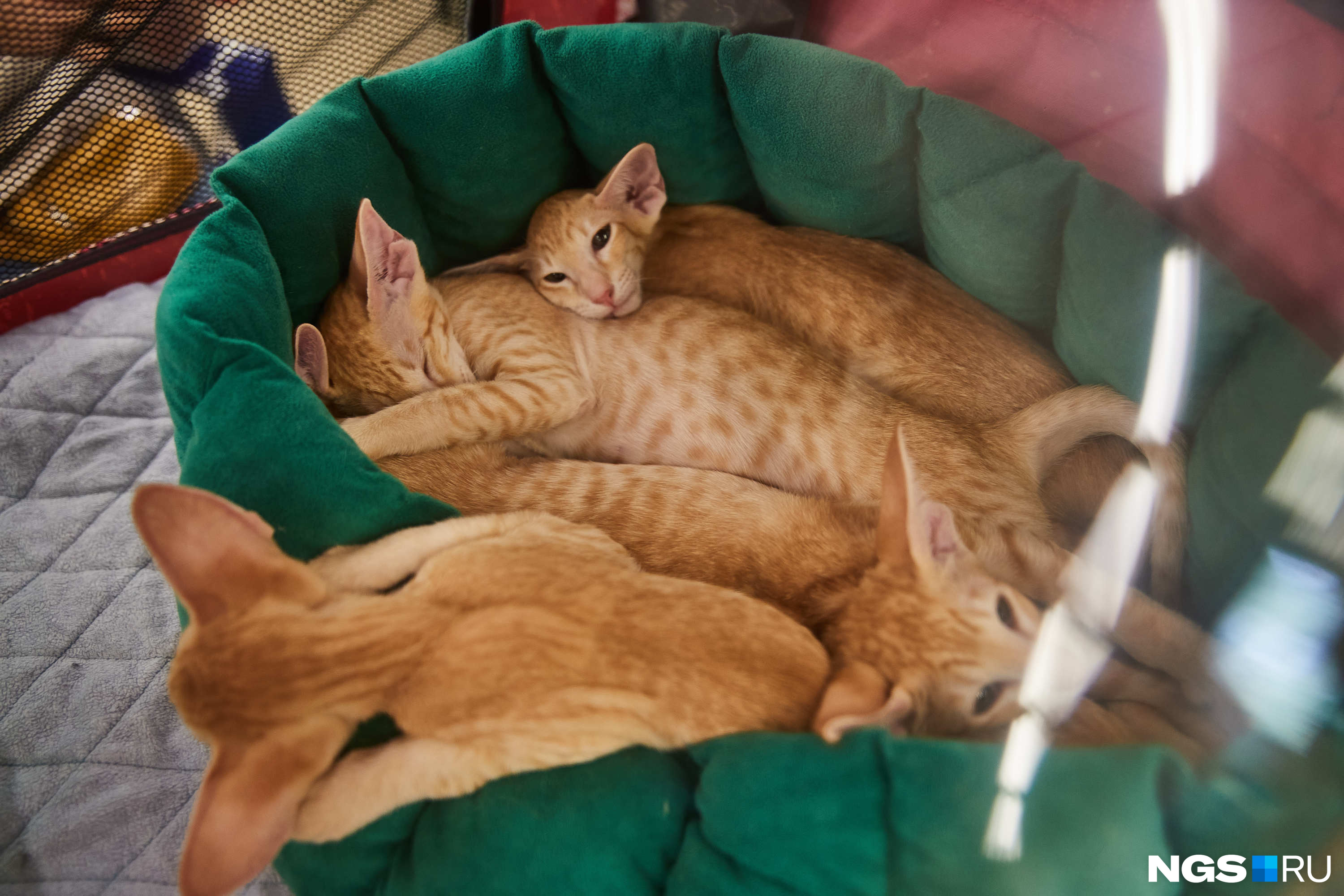 Корзинка с пирожками Корзинка с пирожками
