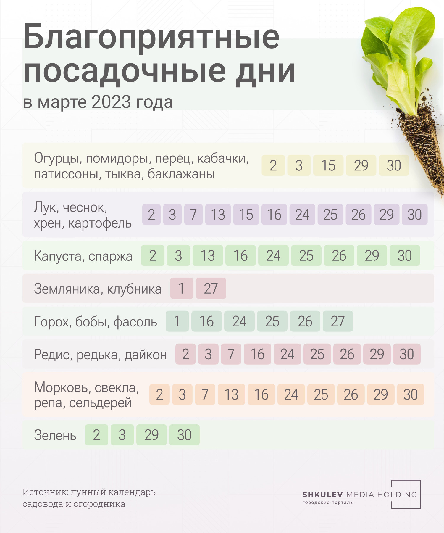 Лунный календарь рассады на 2023 год: когда лучше сажать семена в марте,  апреле, мае - 19 февраля 2023 - 71.ru