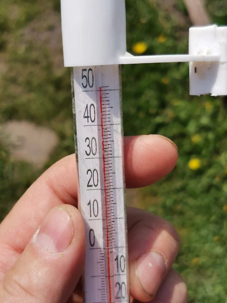 Житель Мошковского района шутит, что не хватает шкалы на термометре