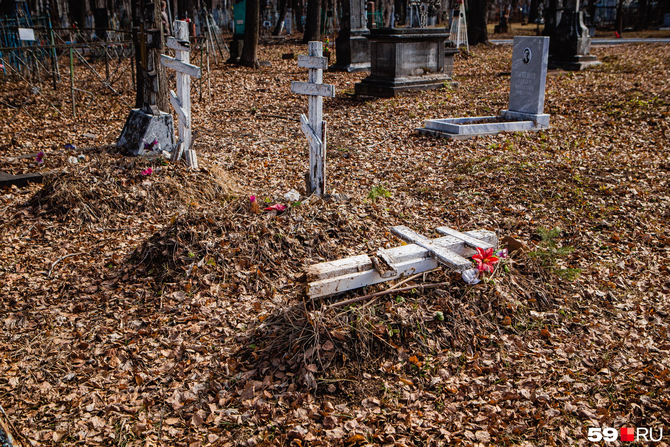Разрушенные кладбища. Кладбище. Большое кладбище. Детское кладбище. Кладбище в России.