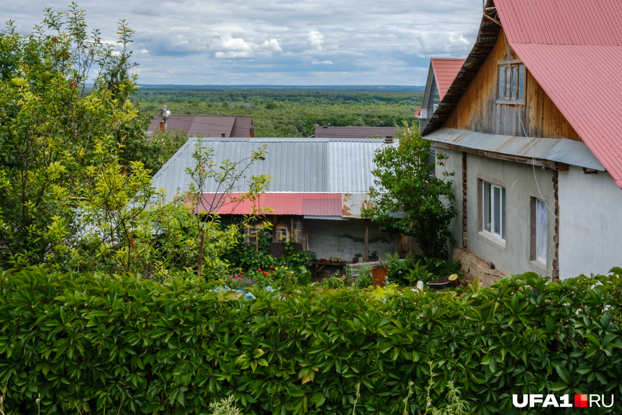 А вы бы стали заниматься огородом?