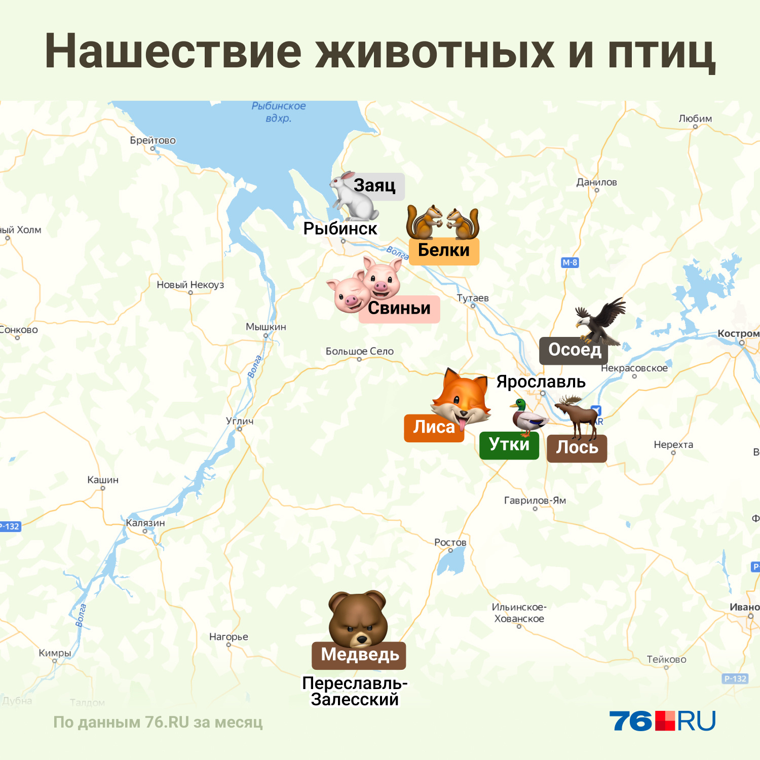 Каких животных видели весной в Ярославской области