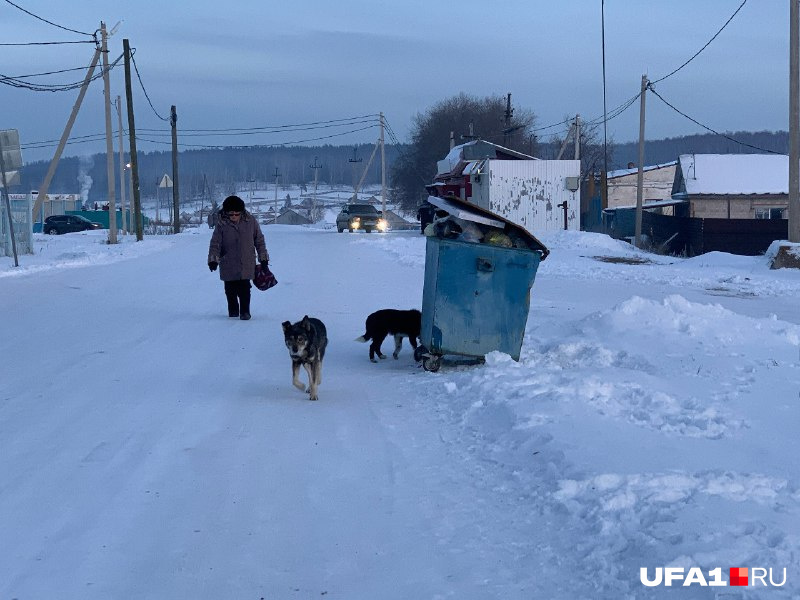 Село живет тихой удаленной жизнью