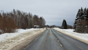В Архангельской области при странных обстоятельствах на дороге погибла женщина