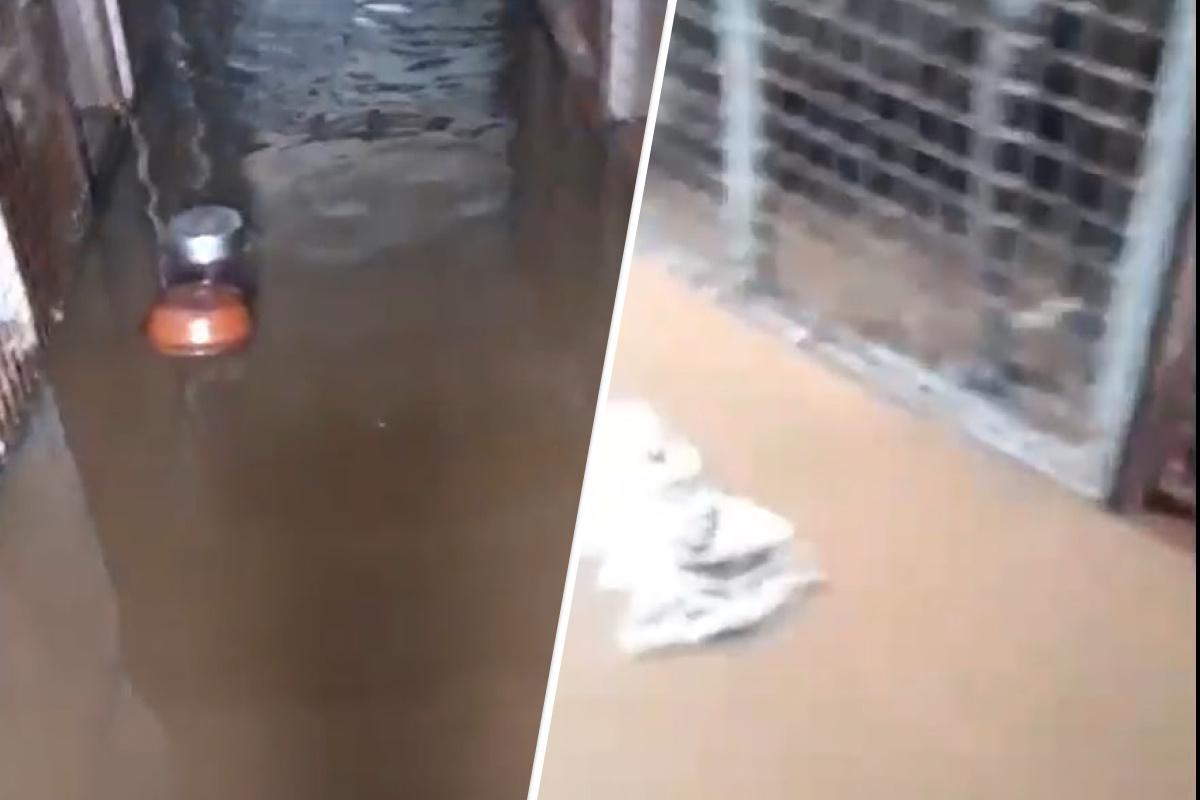 «Матрасами перекрывали поток воды»: ливень затопил приют для бездомных собак в Красноярске