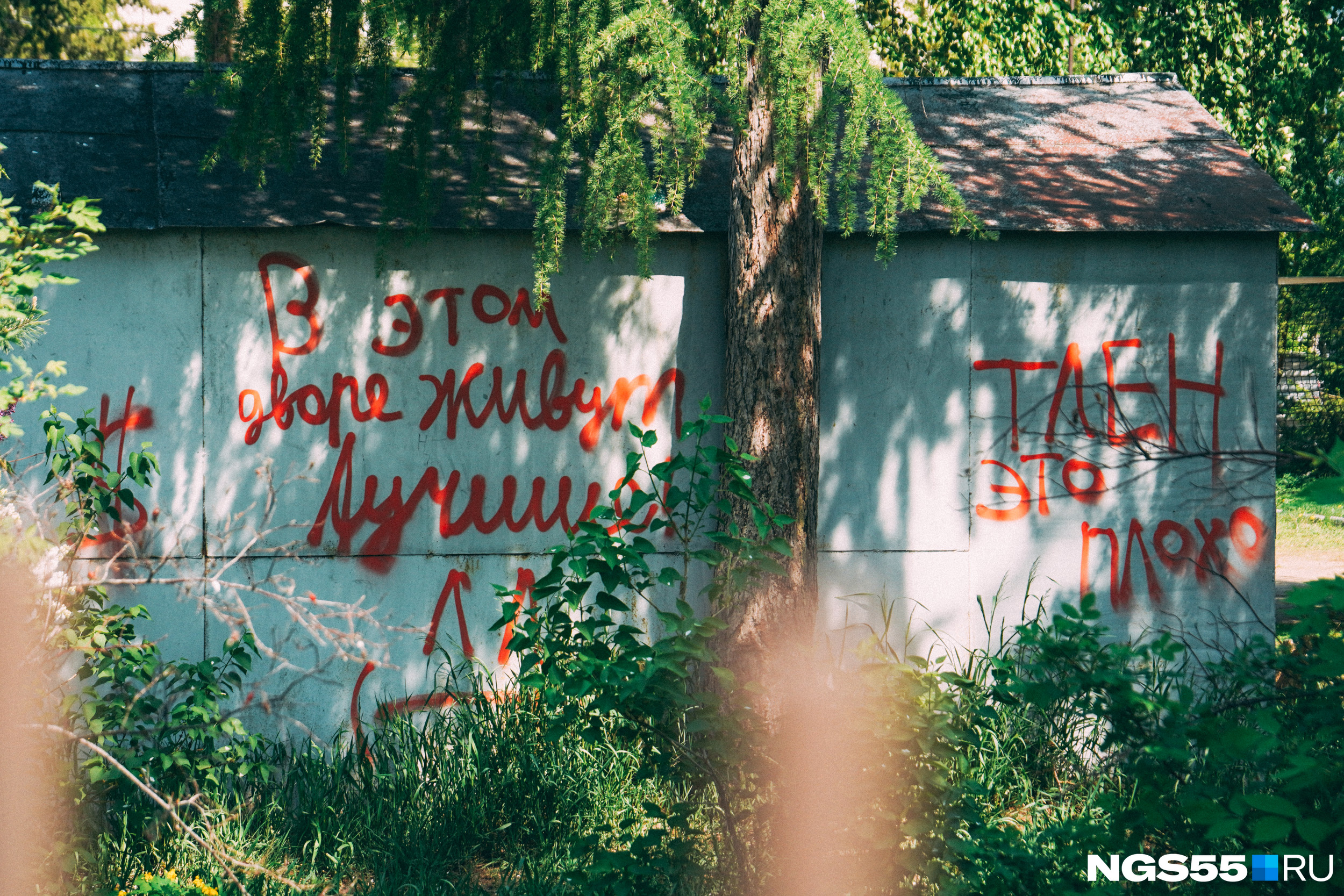 Вот такие громкие заявления от уличного художника одного из дворов Вот такие громкие заявления от уличного художника одного из дворов