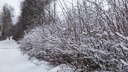 Снежные заносы, метель: ярославцев предупредили о новом «сюрпризе» погоды