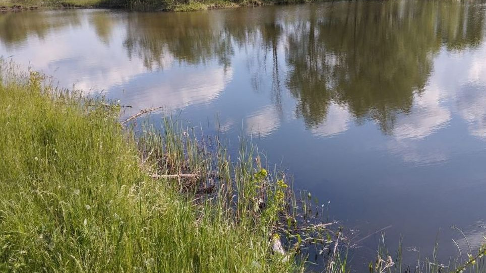 В реке Дёме в Башкирии нашли мертвого подростка