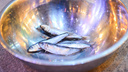 Рыбу с мышьяком обнаружили в Приморье