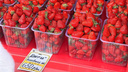 Хватит кормить Москву (клубникой)! Почему так подорожали ягоды и фрукты на ростовских рынках