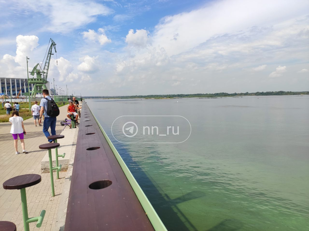 В Нижнем Новгороде позеленела Волга. Эколог назвал возможную причину и рассказал, как исправить страшное