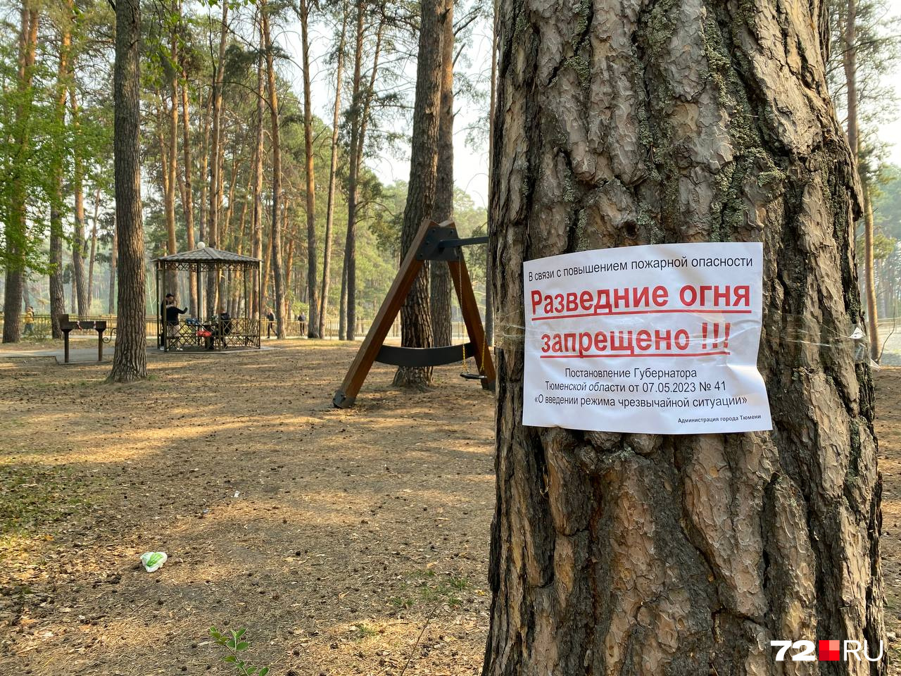 Пока нарушителей нет. Люди просто пьют в беседках чай Пока нарушителей нет. Люди просто пьют в беседках чай