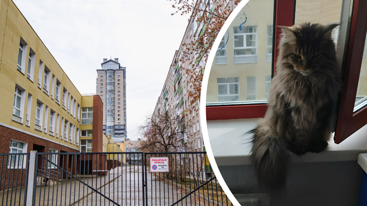 «В одних трусах по квартире не походишь»: как живется в центре Перми впритык к школе