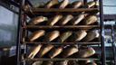 «Абсолютно критическая ситуация»: аграрии говорят о резком скачке цен на хлеб — ждать ли его в Новосибирске