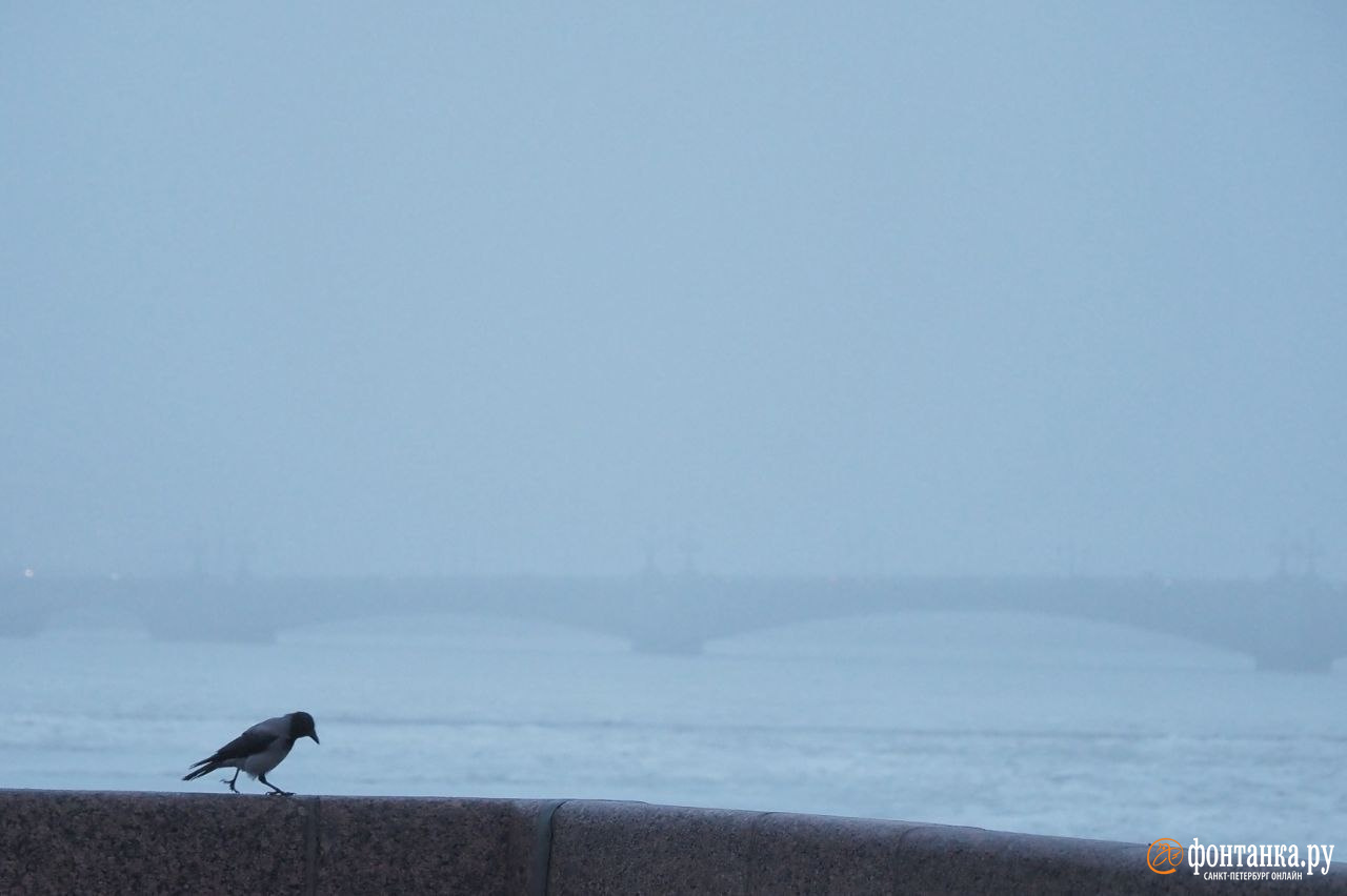 Такого не было ни разу в истории. Погода в Петербурге по виду как серая мышь, а на самом деле — рекордсмен