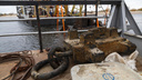 «Генеральная уборка» в Приморье под вопросом: на госзакупку по подъему судов со дна моря пожаловались