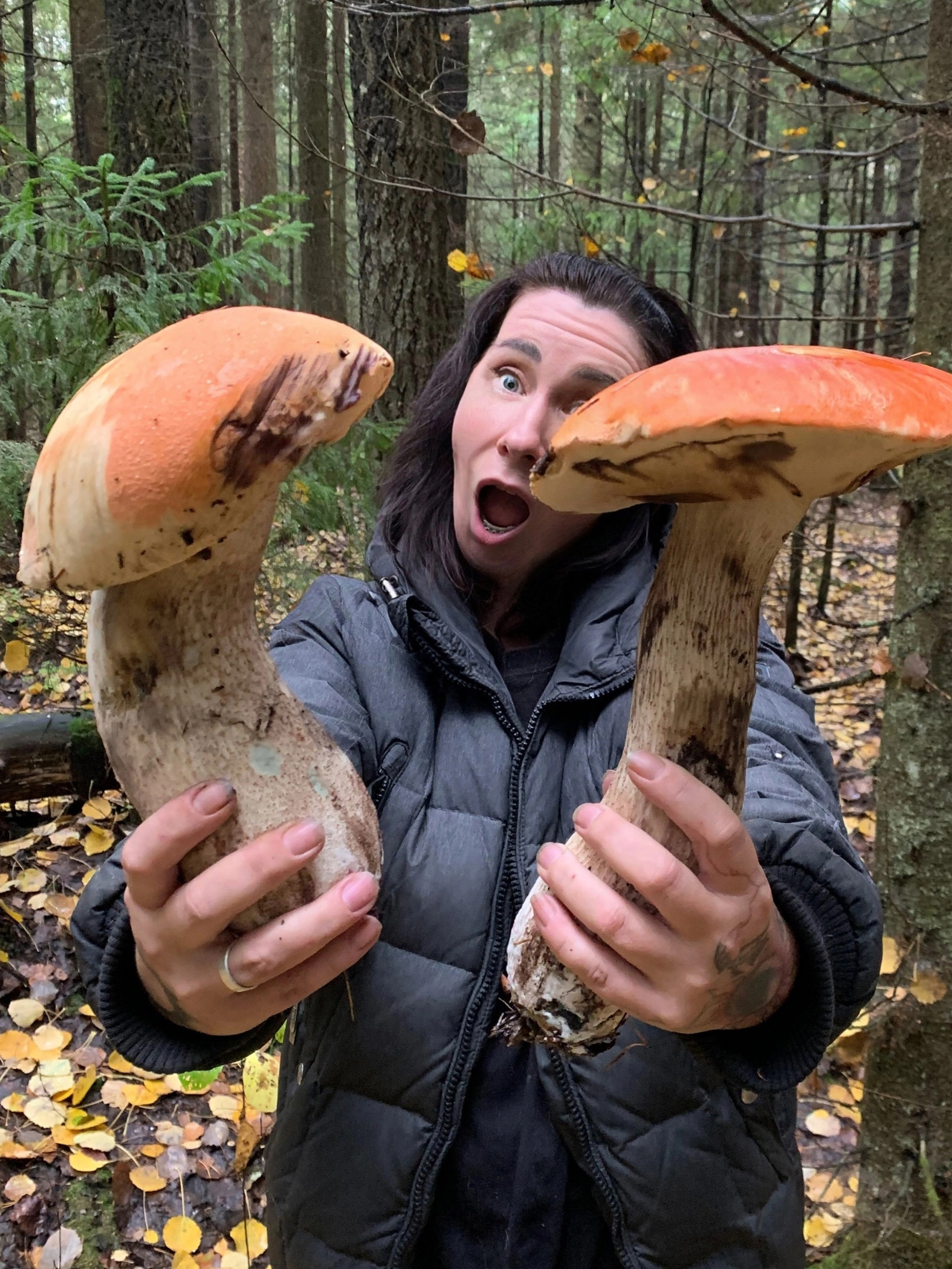 6 самых необычных способов искать грибы