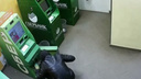 Новосибирца осудили за попытку взломать банкомат монтировкой и кувалдой — видео его задержания
