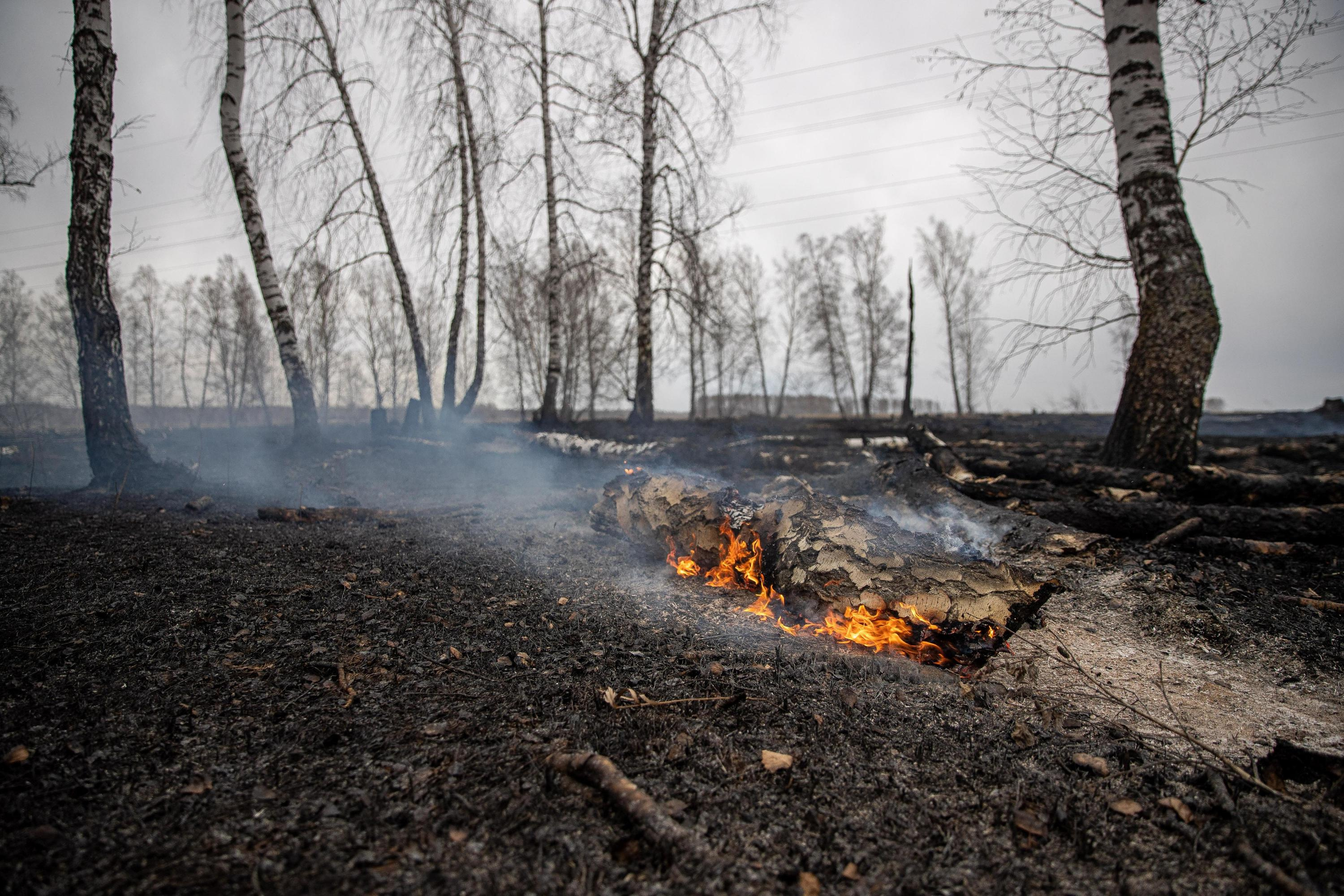 Сухая погода стала причиной осенних пожаров в Забайкалье
