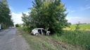 Съехал с дороги и врезался в дерево: водитель Toyota погиб в Бердске