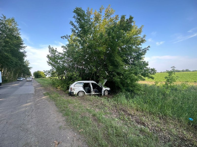 Съехал с дороги и врезался в дерево: водитель Toyota погиб в Бердске