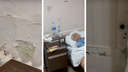 «Это кошмар полный!»: в соцсетях показали жуткие условия в ярославской больнице. Видео