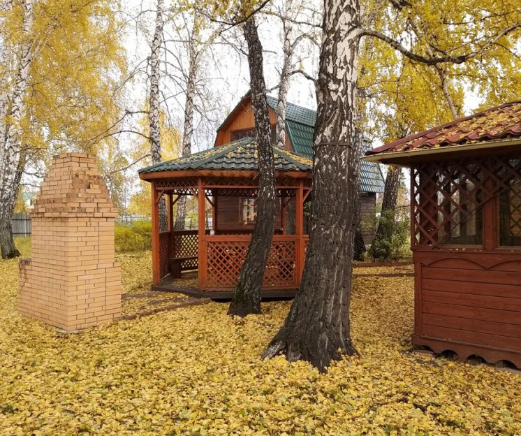 Продавец пишет, что дача располагается в красивом месте, а на участке растут 24 березы