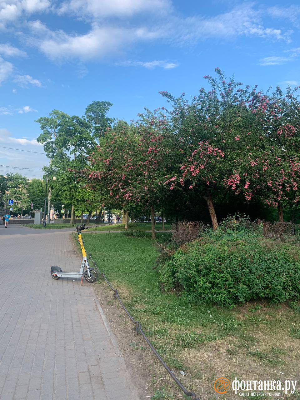 В каких районах Петербурга запретят движение электросамокатов на время  ПМЭФ-2024 - 3 июня 2024 - ФОНТАНКА.ру