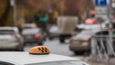 Иностранцев могут запретить брать на работу в такси по патентам в Новосибирской области