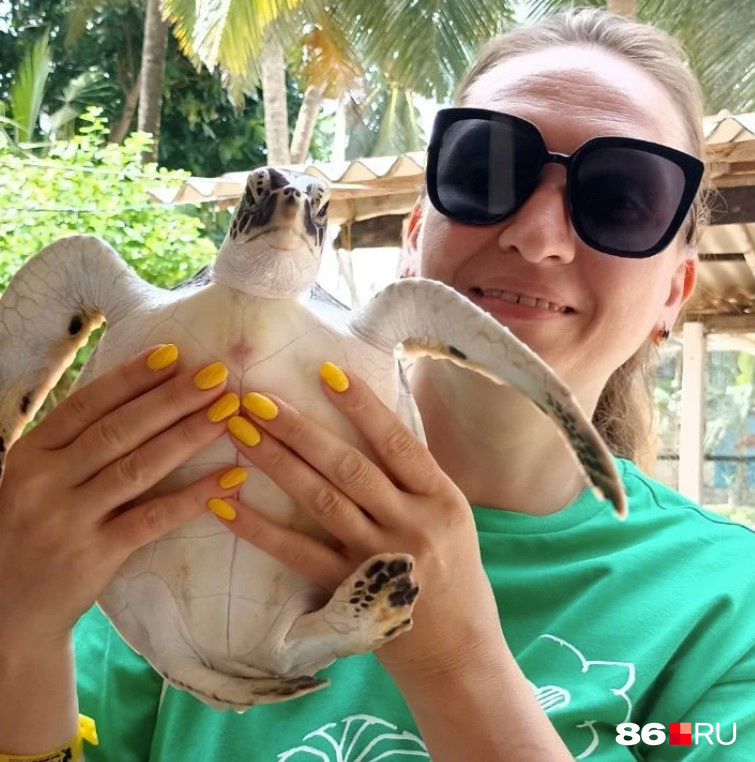 На Шри-Ланке очень бережно относятся к черепахам