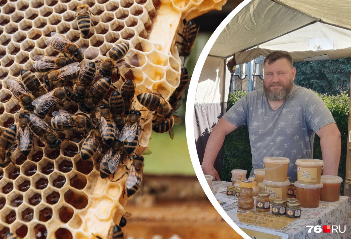 «Надо всё учитывать, чтобы не было больно»: пчеловод дал советы дачникам, мечтающим о пасеке