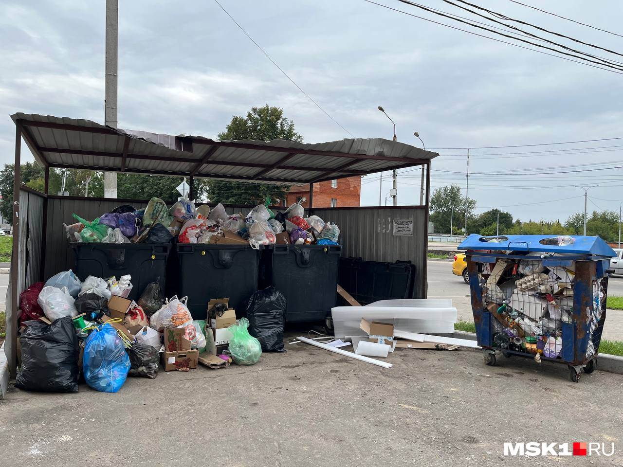 Улицы подмосковного города Домодедово утопают в мусоре: фоторепортаж ...
