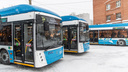 Названа дата повышения цены на проезд в автобусах и троллейбусах Новосибирска: платить будем по 35 рублей
