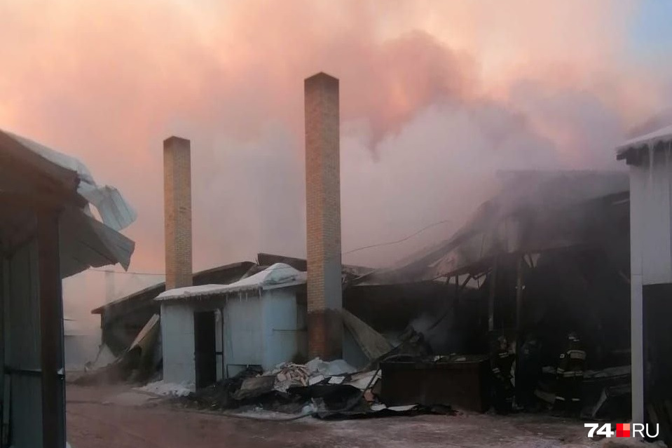 прямой эфир в калининграде сейчас. калининград камеры. прямой эфир в калининграде сейчас. камера на ул шевченко. прямой эфир в калининграде сейчас.