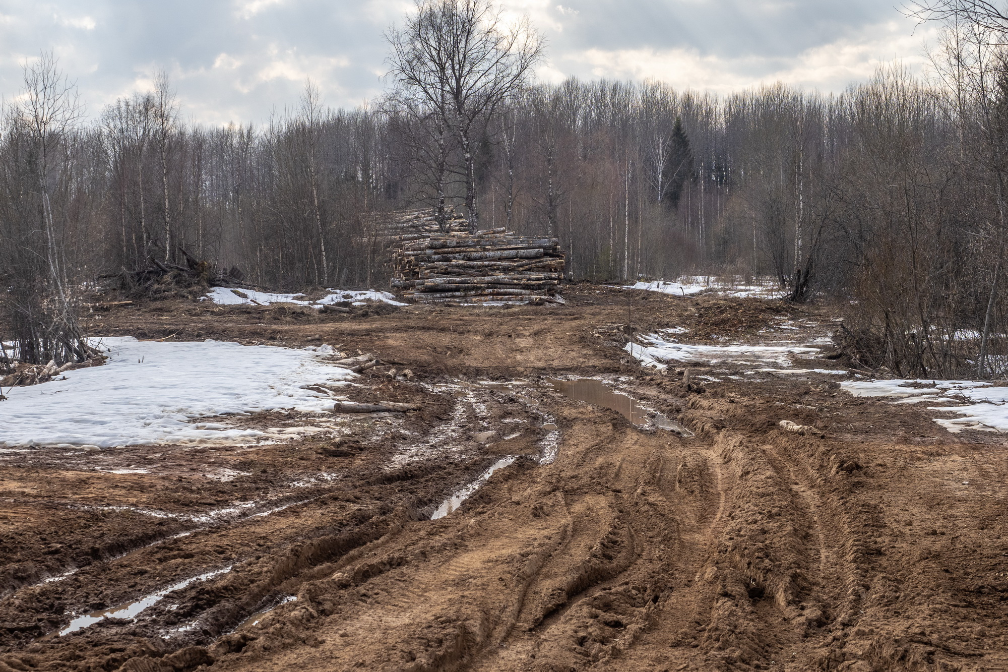 Алёшины Нивы поглотила красноватая грязь. Репортаж из ниоткуда | 24.04.2023  | Санкт-Петербург - БезФормата