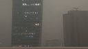 Похоже на апокалипсис: сибирячка оказалась в охваченном ливнями и ураганом Дубае — видео