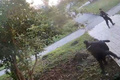 ����������� � ������������� � �������� ��������� ��������� ������������, �� �������� ��� �����