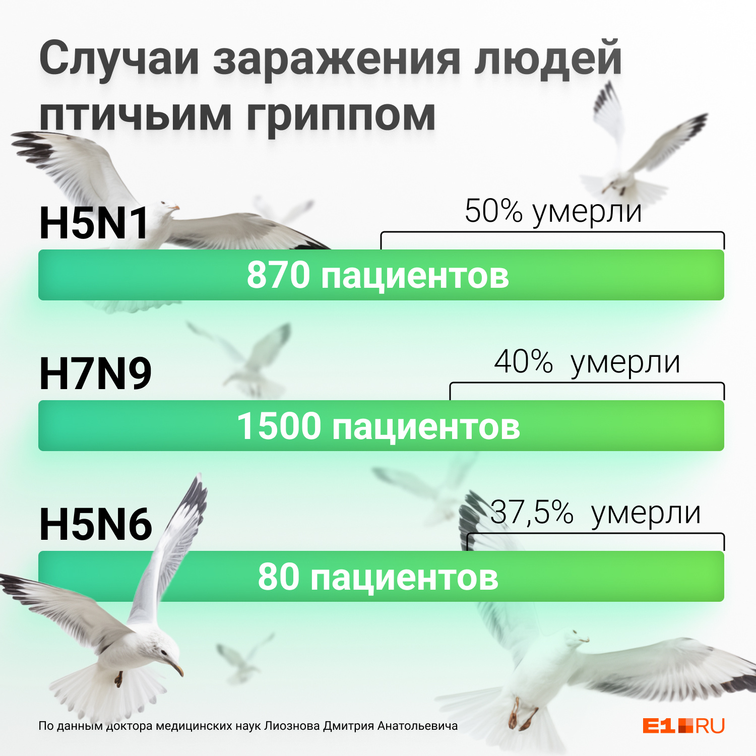 В России случаев гриппа птиц среди людей не зарегистрировано, но в мире, к сожалению, такое уже было