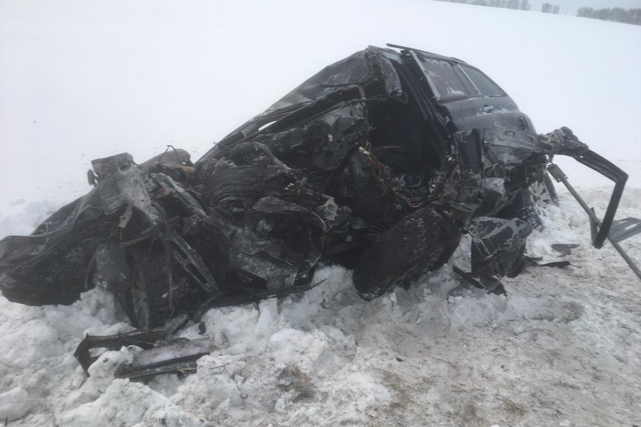 Погода в шадринске на 10 дней