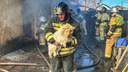 «Еще пара минут, и не спасти»: в Шадринске сотрудник МЧС вытащил собаку из горящего дома