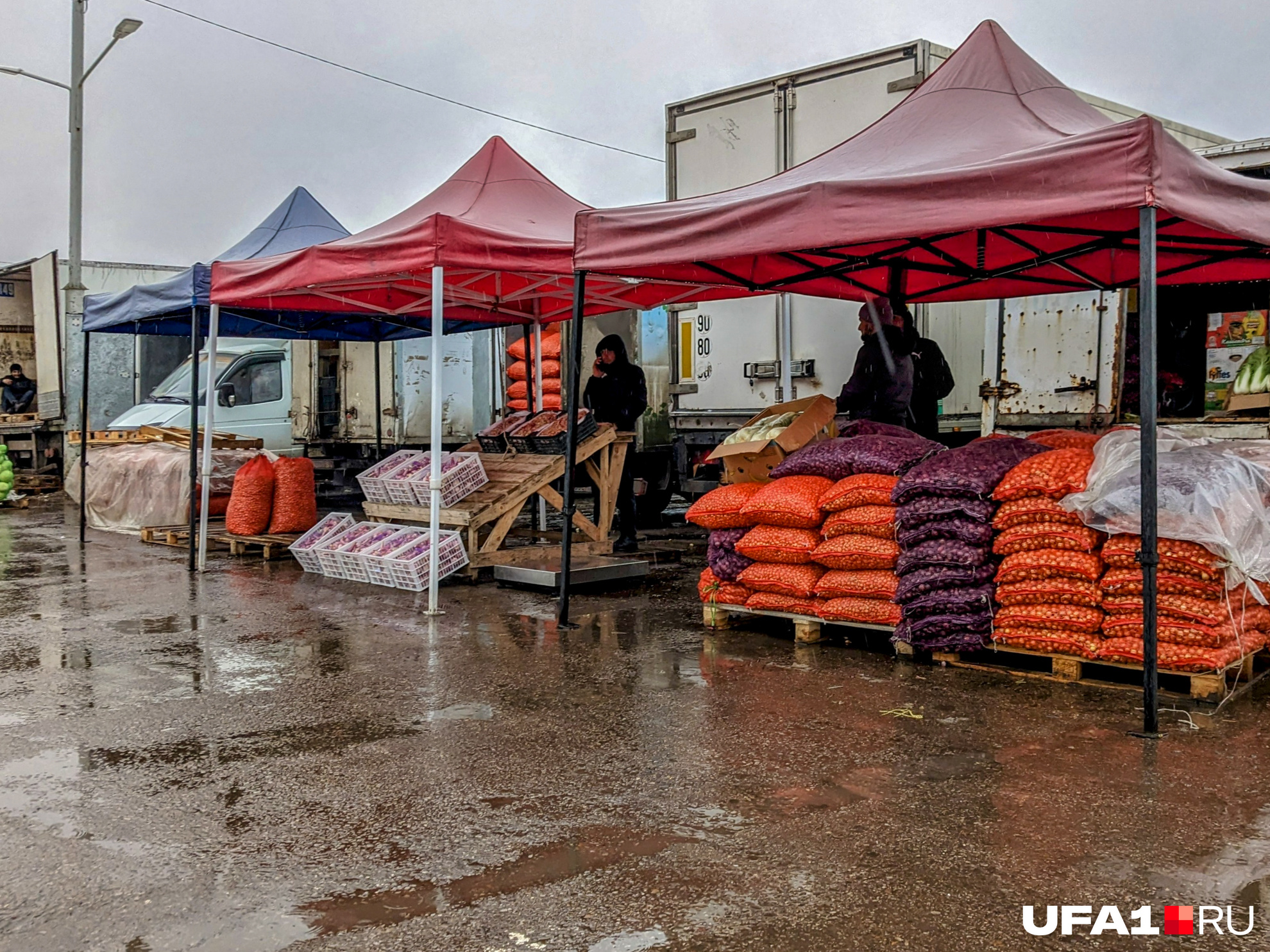 Здесь есть традиционные палатки с овощами, фруктами и орехами, а также уйма грузовиков