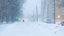Снегопад вернется? Публикуем новый прогноз по осадкам в Самарской области