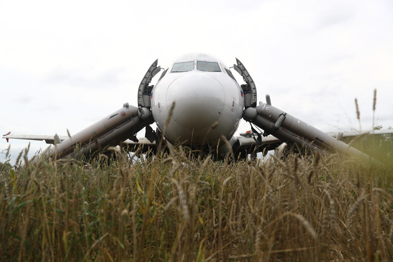 Случай, который произошел в Новосибирской области, войдет в список удивительных историй об экстренных посадках самолетов, которые обошлись без жертв