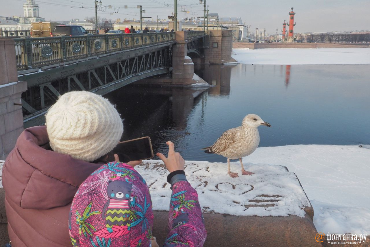 Петербург пережил самый морозный день февраля. Но дальше — больше