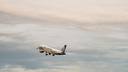 «Дайте комнату отдыха»: сотни пассажиров «Уральских авиалиний» застряли в аэропортах Челябинска, Сочи и Душанбе