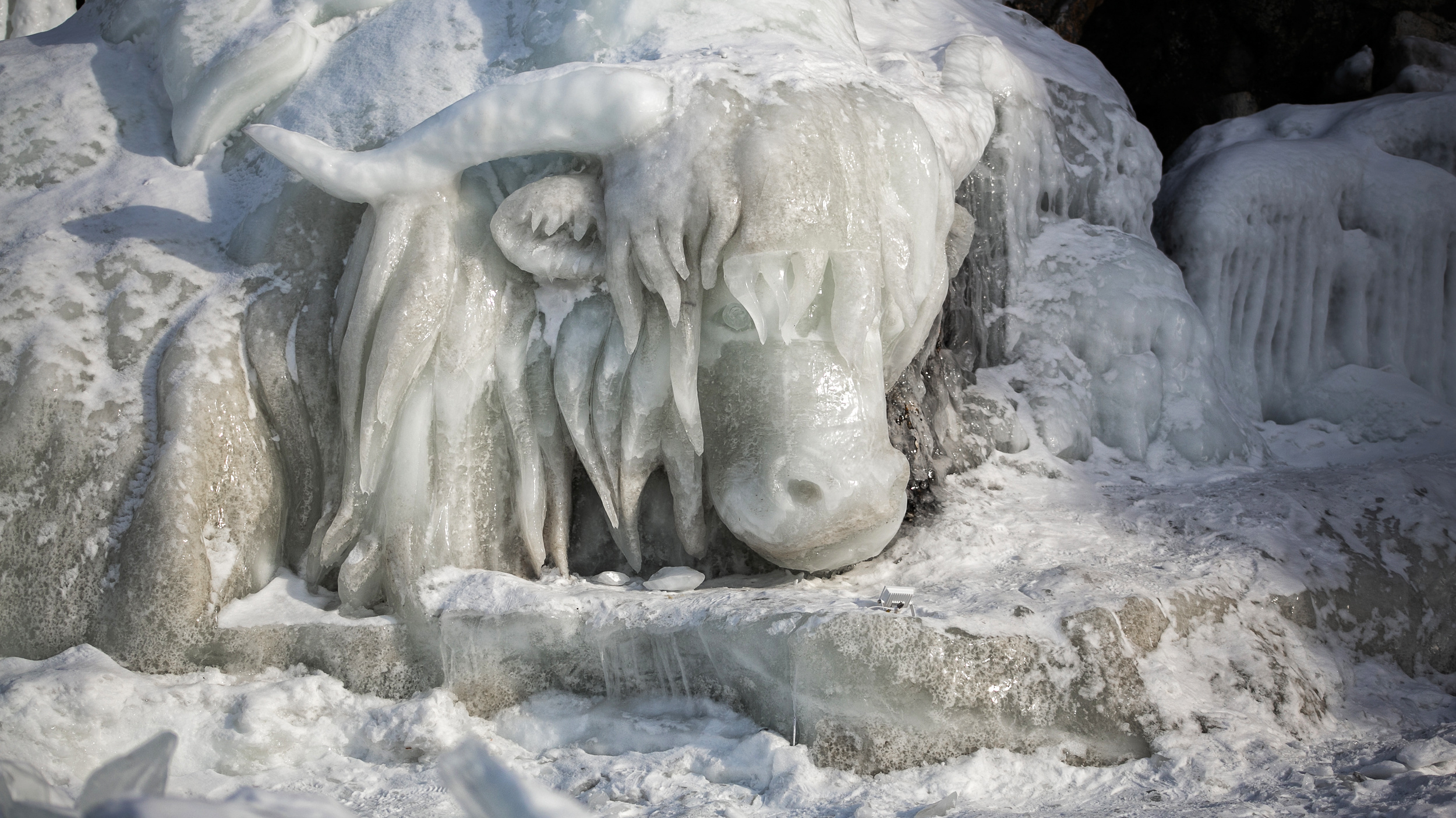 Сказочные рыбы, быки и русалки: на Ольхоне сделали ледовый парк невероятной красоты — фото